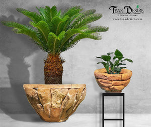 Teak Root Wood Planter Bowl