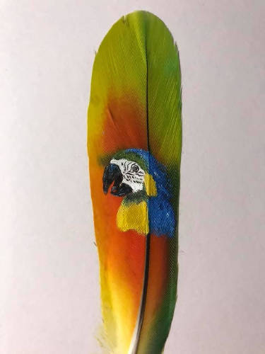 Parrot on a Parrot feather