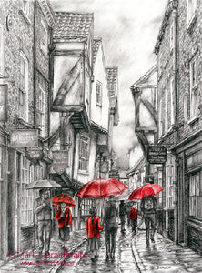 A Touch of Red, Shambles Showers (40x50cm Double Mounted Print)