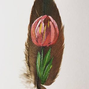 Tulip on a feather