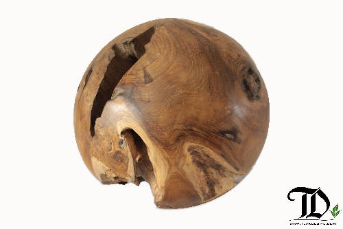 Teak Root Ball